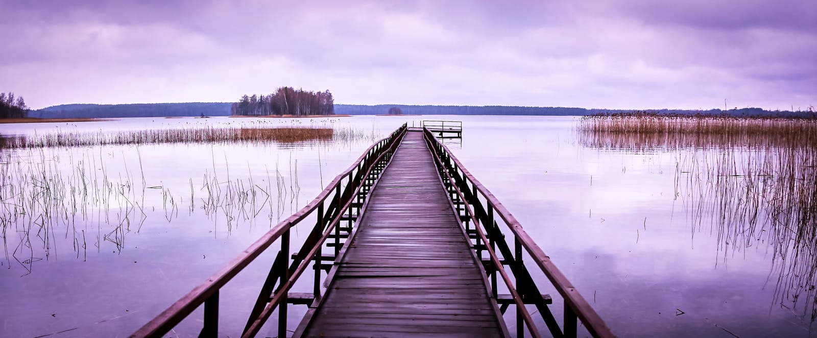 The Quiet You Left Behind