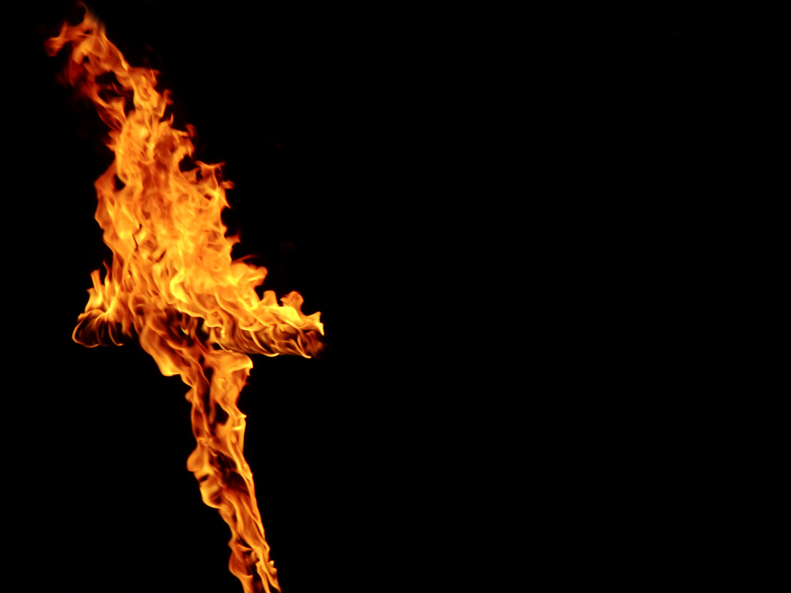 The God They Sold You